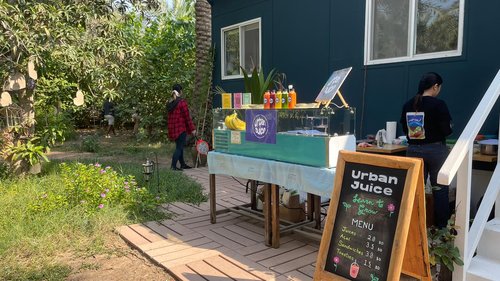 Learn To Grow photo 2