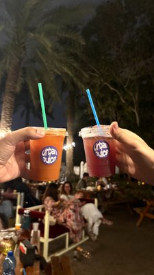 Learn To Grow photo 5